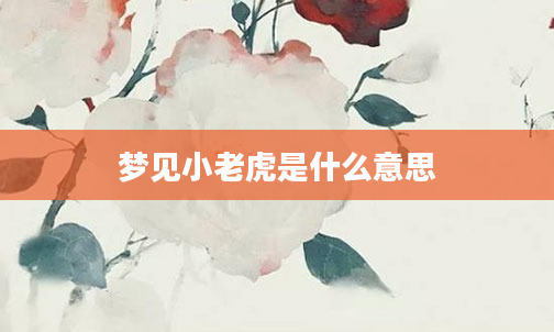 梦见小老虎是什么意思