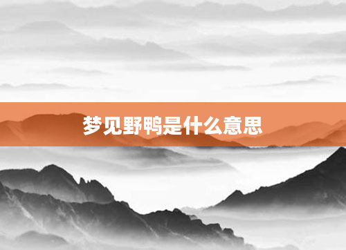 梦见野鸭是什么意思