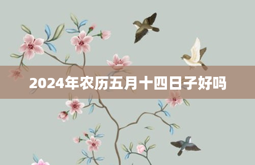 2024年农历五月十四日子好吗