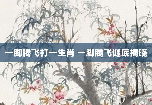 一脚腾飞打一生肖 一脚腾飞谜底揭晓