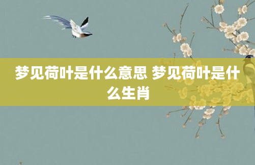 梦见荷叶是什么意思 梦见荷叶是什么生肖