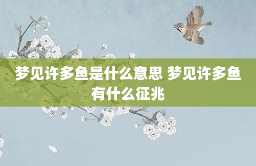 梦见许多鱼是什么意思 梦见许多鱼有什么征兆
