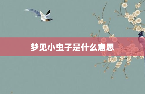 梦见小虫子是什么意思
