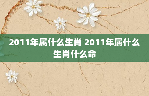 2011年属什么生肖 2011年属什么生肖什么命