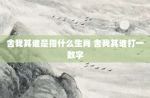 舍我其谁是指什么生肖 舍我其谁打一数字