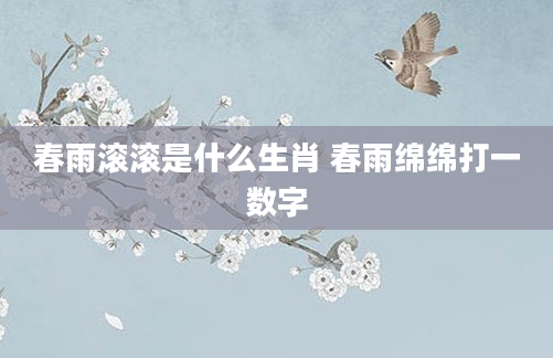 春雨滚滚是什么生肖 春雨绵绵打一数字