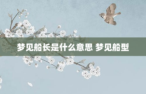 梦见船长是什么意思 梦见船型