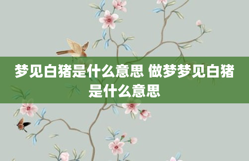 梦见白猪是什么意思 做梦梦见白猪是什么意思