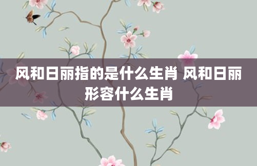风和日丽指的是什么生肖 风和日丽形容什么生肖