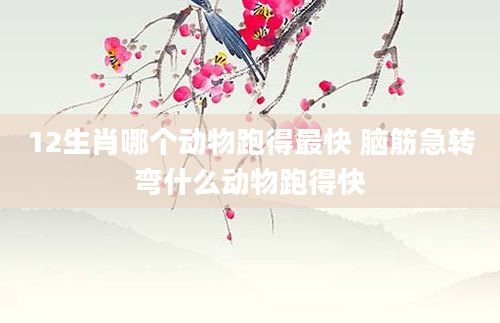 12生肖哪个动物跑得最快 脑筋急转弯什么动物跑得快