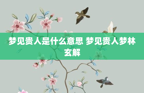 梦见贵人是什么意思 梦见贵人梦林玄解