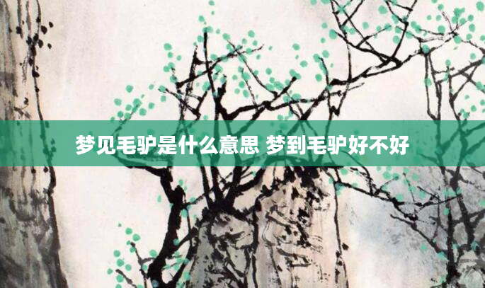 梦见毛驴是什么意思 梦到毛驴好不好