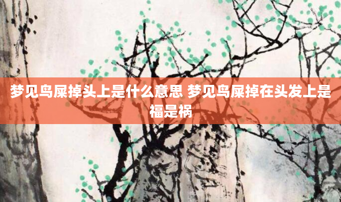 梦见鸟屎掉头上是什么意思 梦见鸟屎掉在头发上是福是祸