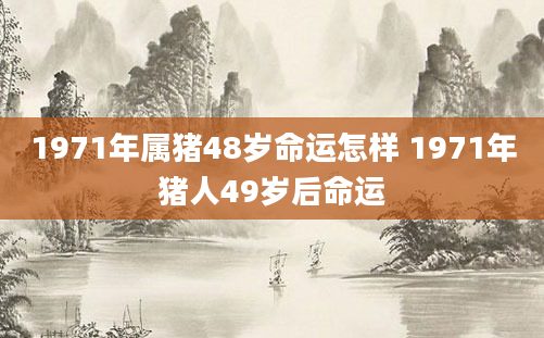 1971年属猪48岁命运怎样 1971年猪人49岁后命运