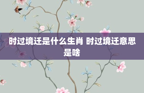 时过境迁是什么生肖 时过境迁意思是啥