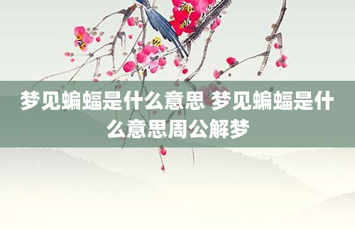 梦见蝙蝠是什么意思 梦见蝙蝠是什么意思周公解梦