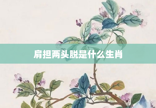 肩担两头脱是什么生肖
