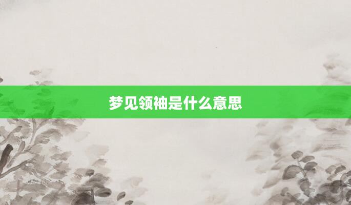 梦见领袖是什么意思