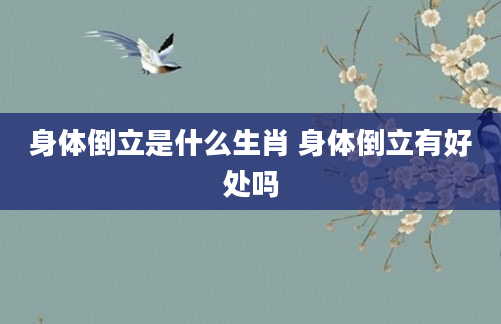 身体倒立是什么生肖 身体倒立有好处吗