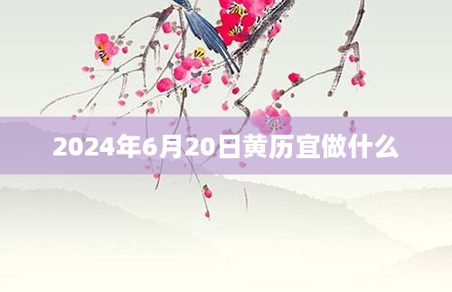 2024年6月20日黄历宜做什么