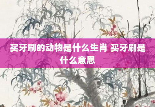 买牙刷的动物是什么生肖 买牙刷是什么意思