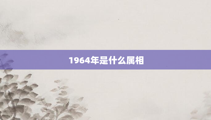 1964年是什么属相