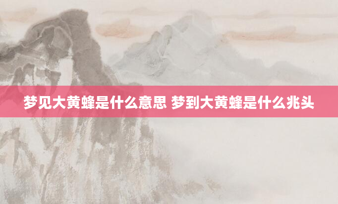梦见大黄蜂是什么意思 梦到大黄蜂是什么兆头