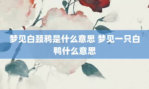梦见白颈鸦是什么意思 梦见一只白鸭什么意思