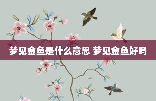 梦见金鱼是什么意思 梦见金鱼好吗