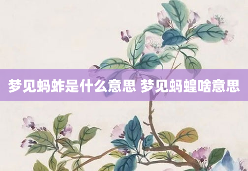 梦见蚂蚱是什么意思 梦见蚂蝗啥意思