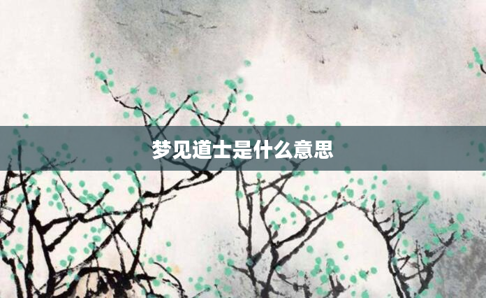 梦见道士是什么意思