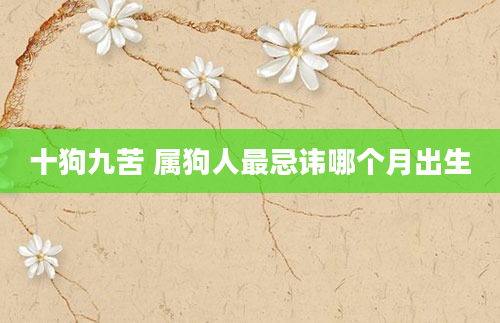 十狗九苦 属狗人最忌讳哪个月出生