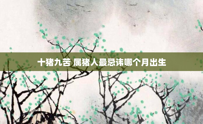 十猪九苦 属猪人最忌讳哪个月出生