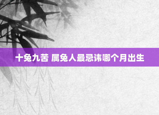 十兔九苦 属兔人最忌讳哪个月出生