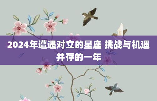 2024年遭遇对立的星座 挑战与机遇并存的一年
