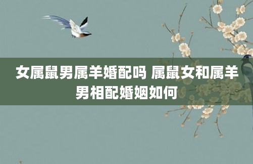 女属鼠男属羊婚配吗 属鼠女和属羊男相配婚姻如何