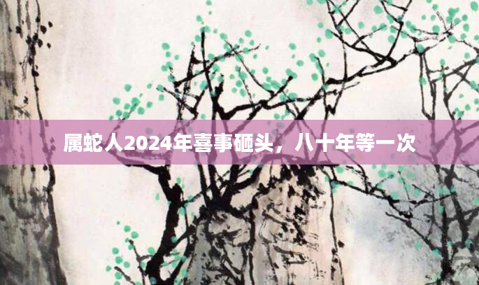 属蛇人2024年喜事砸头，八十年等一次