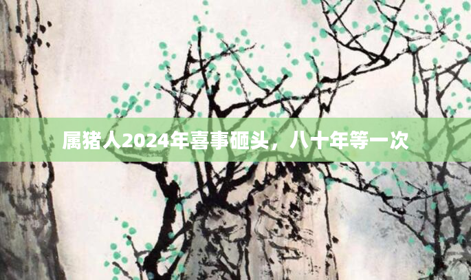 属猪人2024年喜事砸头，八十年等一次