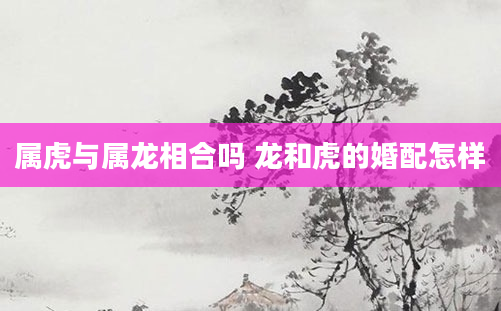 属虎与属龙相合吗 龙和虎的婚配怎样