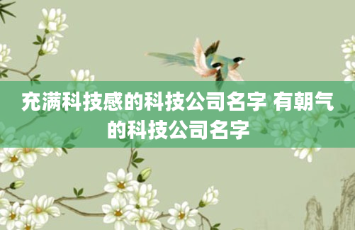 充满科技感的科技公司名字 有朝气的科技公司名字
