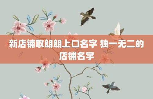 新店铺取朗朗上口名字 独一无二的店铺名字
