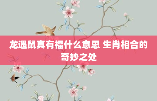龙遇鼠真有福什么意思 生肖相合的奇妙之处