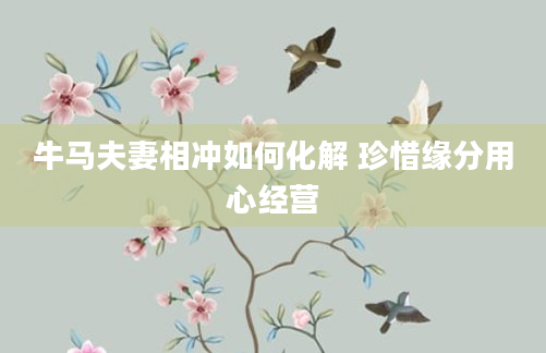 牛马夫妻相冲如何化解 珍惜缘分用心经营