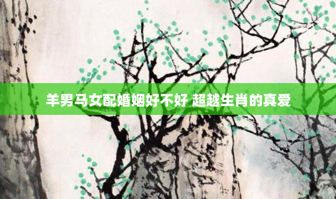 羊男马女配婚姻好不好 超越生肖的真爱