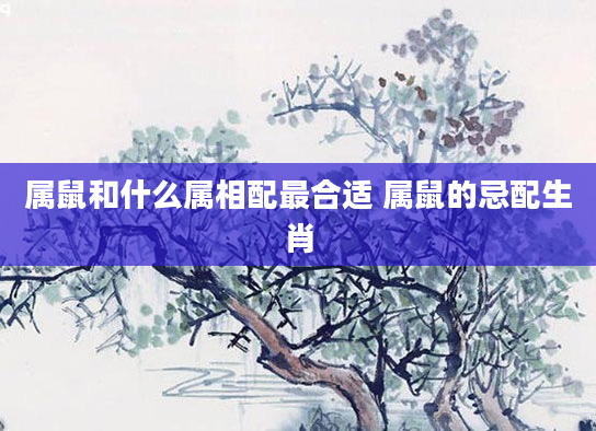 属鼠和什么属相配最合适 属鼠的忌配生肖