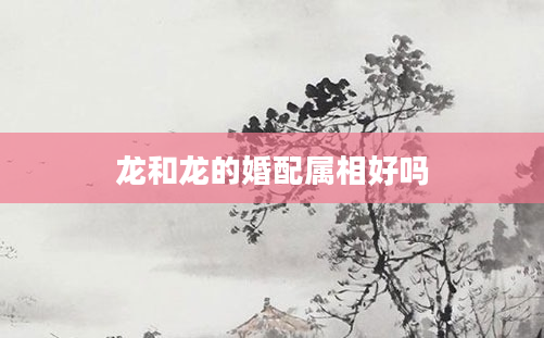 龙和龙的婚配属相好吗