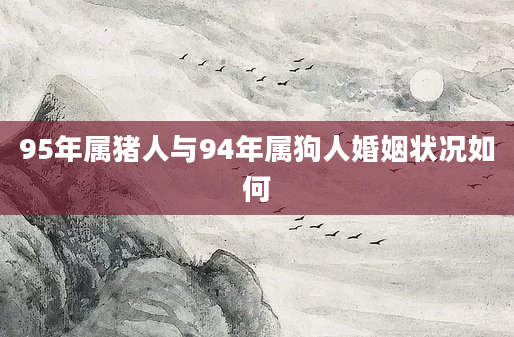 95年属猪人与94年属狗人婚姻状况如何