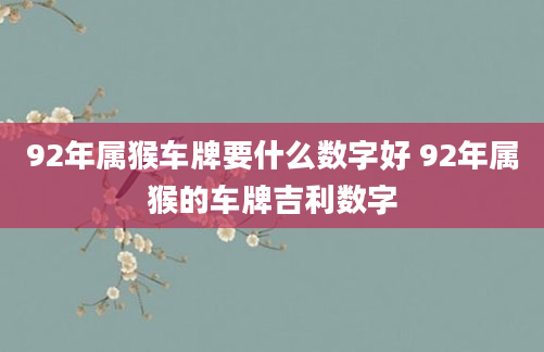 92年属猴车牌要什么数字好 92年属猴的车牌吉利数字