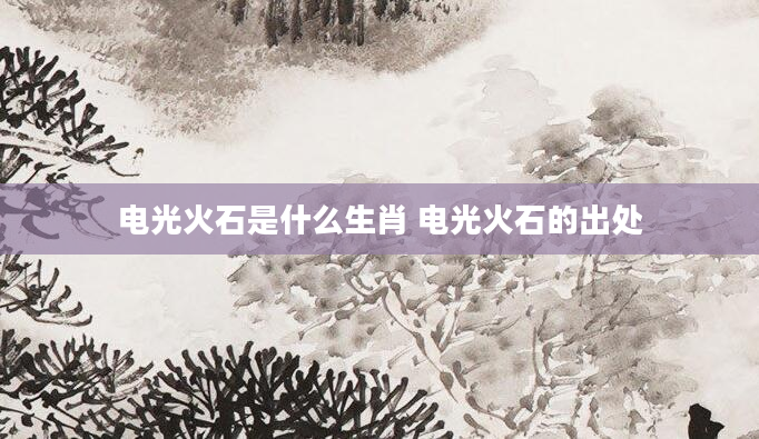 电光火石是什么生肖 电光火石的出处