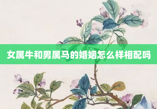 女属牛和男属马的婚姻怎么样相配吗